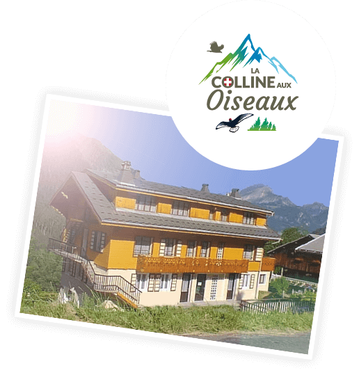 Chalet en location pour les groupes Colline aux Oiseaux